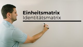 Einheitsmatrix Identitätsmatrix quadratische Matrix  Mathe by Daniel Jung [upl. by Suolekcin713]