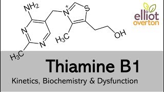 Thiamine Vitamin B1 Basic Kinetics Biochemistry amp Deficiency [upl. by Ennavoj]