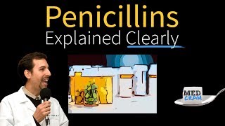 Penicillins  Antibiotics Explained Clearly [upl. by Assele137]