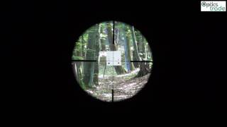 Vortex Diamondback Tactical 412x40 VMR 1 MOA Reticle Subtensions [upl. by Atisusej]