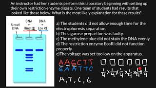 How to read gel electrophoresis results [upl. by Idnim]