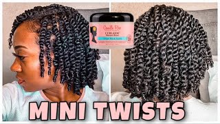 JUICY MINI TWISTS ON NATURAL HAIR  Protective Style [upl. by Haras]