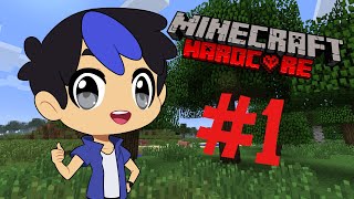 MINECRAFT HARDCORE MODE STREAM 1 [upl. by Valerlan]