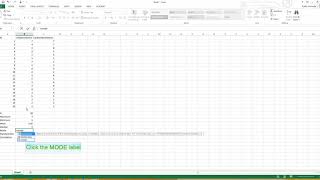 Excel Demographics Walkthrough [upl. by Campos817]