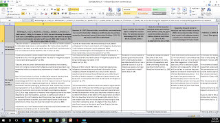 How to Create a Literature Matrix Excel [upl. by Emmott]