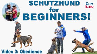 Schutzhund For Beginners Obedience [upl. by Jegar849]