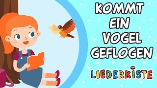 Kommt ein Vogel geflogen  Kinderlieder zum Mitsingen  Liederkiste [upl. by Aniretake129]