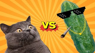 🤣🐈😽TRY NOT TO LAUGH 🐈Cats vs Cucumbers Compilation Funniest Moment When Cat Scared [upl. by Kaslik]