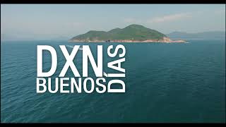 Canción DXN  Buenos Días DXN Liric Video [upl. by Nylodnewg]