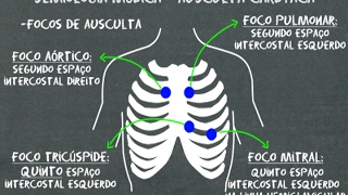 Semiologia médica Ausculta cardíaca [upl. by Petronille908]