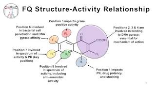 Intro to Bacteria amp Antibiotics Quinolones [upl. by Ailegnave]