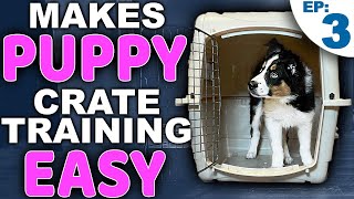 Picking The PERFECT Puppy Crate Training Location [upl. by Gerson650]