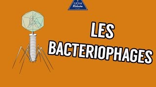 04  Les Bactériophages [upl. by Jankell100]