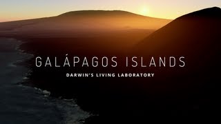 Explore the Galapagos Islands with Google Maps [upl. by Eylloh]