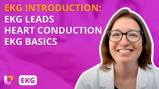 Placement of EKG Leads Heart Conduction System EKG Basics  EKG Interpretation  LevelUpRN [upl. by Orravan399]