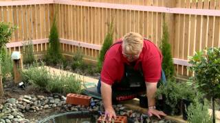 How To Create A Water Garden  DIY At Bunnings [upl. by Etnuahc925]