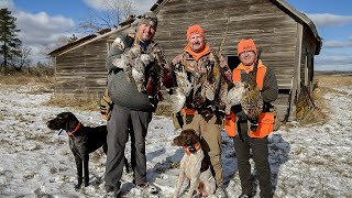 Pheasant Hunting on North Dakotas Mallard Island  The Flush Season 11 Episode 6 [upl. by Eniladam]