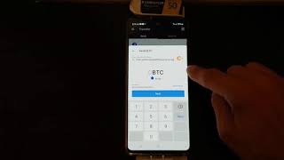 How to Send Bitcoin with the Blockchain Wallet [upl. by Wendolyn806]