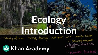 Ecology introduction  Ecology  Khan Academy [upl. by Byran]