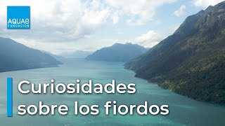 CURIOSIDADES sobre los FIORDOS [upl. by Alexa]