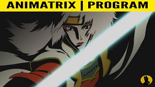 THE ANIMATRIX  Program  Fnally Explained [upl. by Haiacim]