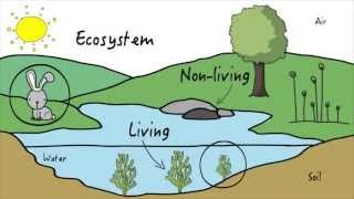 Unit 3 Ecosystems  KLU Science [upl. by Daffy377]