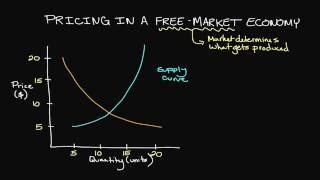 Pricing in a FreeMarket Economy [upl. by Margette]