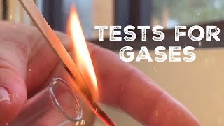 GCSE Science Chemistry 91  Tests for Gases [upl. by Christye]