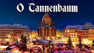 O Tannenbaum 🎄 German Christmas songEnglish translation [upl. by Nicram]