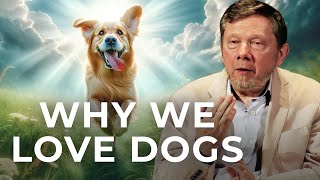 Eckhart Tolle on Dogs A Life Beyond Ego [upl. by Aes]