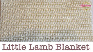 Easiest Crochet Baby Blanket Little Lamb Blanket beginner friendly [upl. by Saxe958]