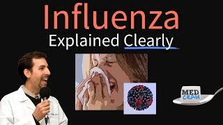 Influenza Flu Explained Clearly  Diagnosis Vaccine Treatment Pathology [upl. by Raymond]