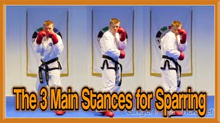 Taekwondo Sparring  The 3 Main Stances  GNT Martial Arts [upl. by Utica]