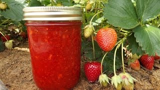 How to Make Strawberry Freezer Jam [upl. by Barsky]