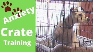 Crate Training for Your Dog  Separation Anxiety [upl. by Onitnas]