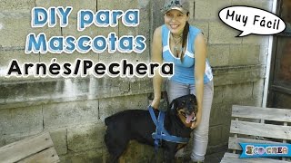 Cómo hacer un arnéspechera para tu perro │DIY [upl. by Schnabel]