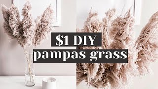 Easy DIY String Pampas Grass from Dollar Tree Materials [upl. by Ernst782]