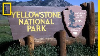 A Brief History of Yellowstone National Park  National Geographic [upl. by Yemane]