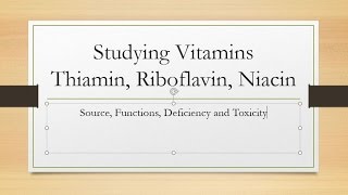 Overview Vitamins Thiamin Riboflavin and Niacin [upl. by Ardnahs]