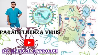 Parainfluenza Virus  Virology  Microbiology [upl. by Rocher58]