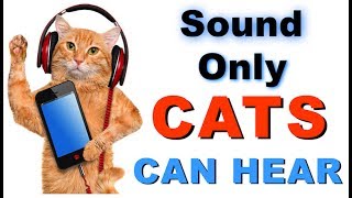 Sound Cats Can Only Hear  HQ [upl. by Anierdna]