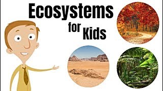 Ecosystems for Kids [upl. by Grannias180]