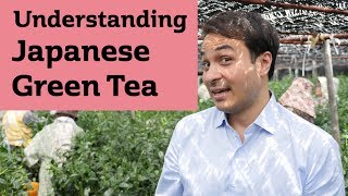 Understanding Japanese Green Tea JAPAN TRIP [upl. by Nodnek]