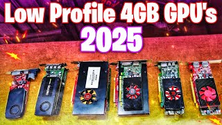 2025 Low Profile 4GB GPU Prices Revealed Best Gaming Graphics Cards amp Stock Updates [upl. by Llered137]