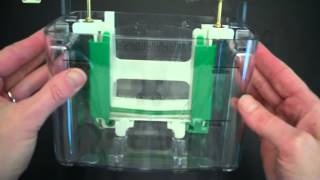 SDS PAGE Part 1 Assembly and Electrophoresis [upl. by Notnroht935]