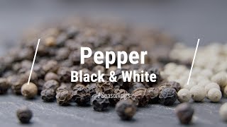 🔵 All About White Pepper amp Black Pepper [upl. by Elockcin600]