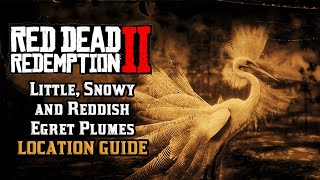 Little Snowy and Reddish Egret Plumes  Location Guide  Red Dead Redemption 2 [upl. by Hsiekal]