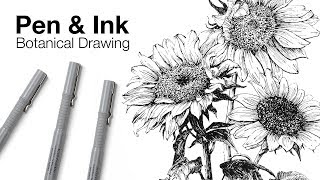 Pen and Ink Botanical Drawing [upl. by Vail]