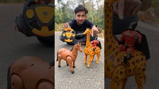 RC remote control two Horse 🐎 and Giraffe 🦒 Ki Unboxing🔥 [upl. by Hepsoj515]