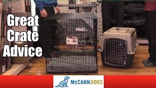 How To Choose A Crate For Your Dog [upl. by Luis330]